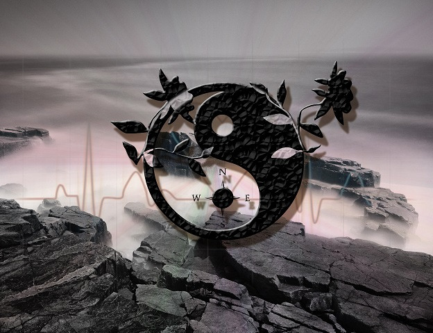 Page Contact Entre BL & Drama