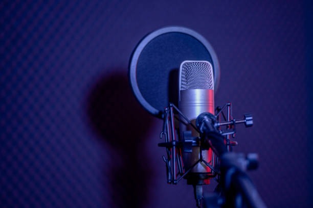 Online nadi astrologer