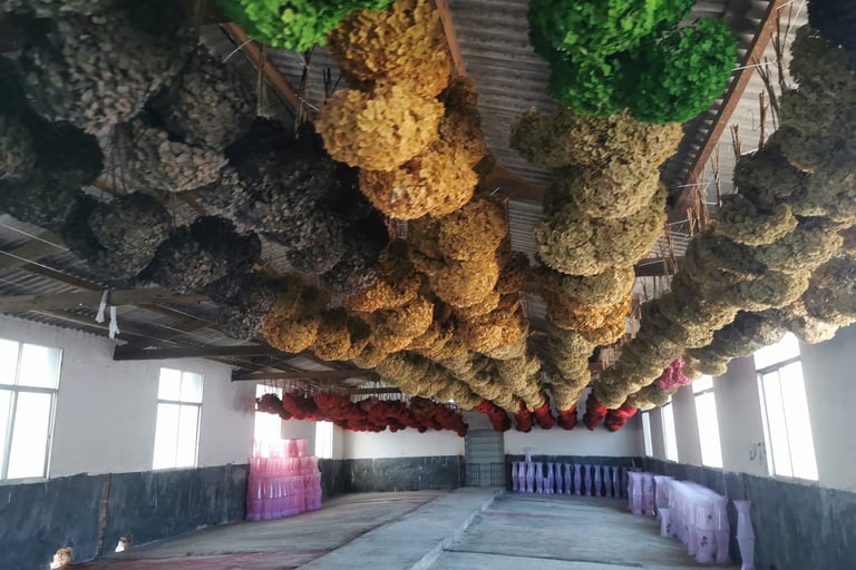 preserved flower factory