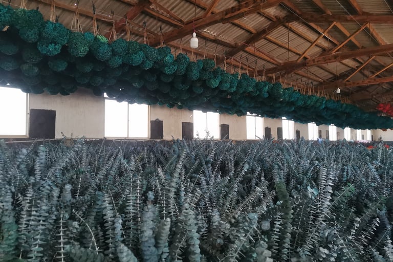 preserved flower factory