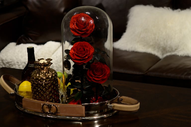 Glass Dome with PVC Base