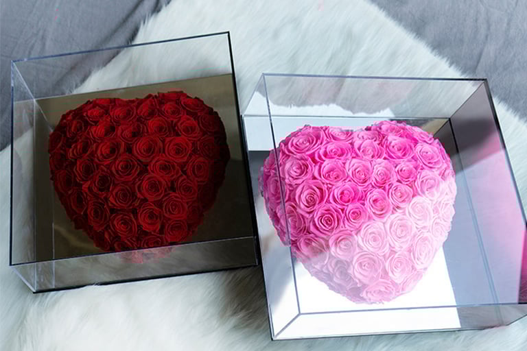 Heart-Shaped Acrylic Bucket
