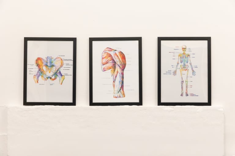 Back spine