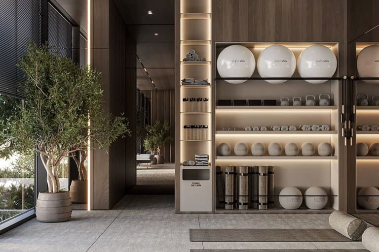 a luxury home gym with a range of functional equipment arranged on the wall