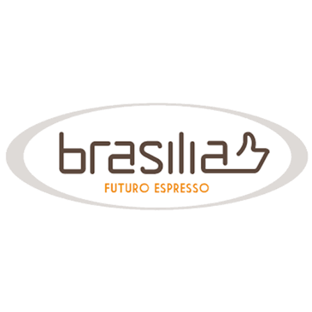 brasilia teknik servisi