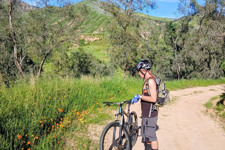  Mountain biker stopping on Southern California trail on a warm day with wildflowers blooming