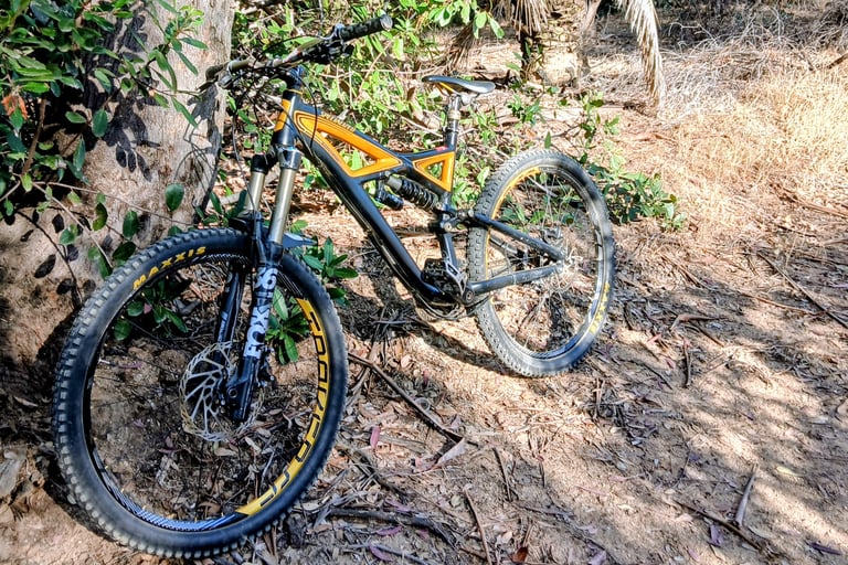 mountain bike 2013 specialized enduro leaning against a tree with a dropper seat post