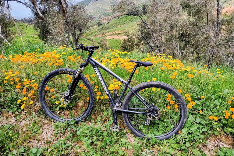 hardtail mountain bike with flowers in the foothills in background