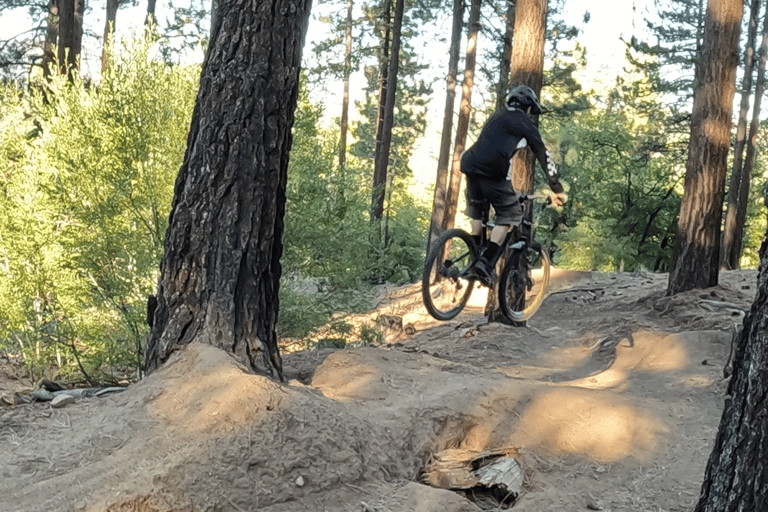 mountain biker coming in for a landing off a small jump
