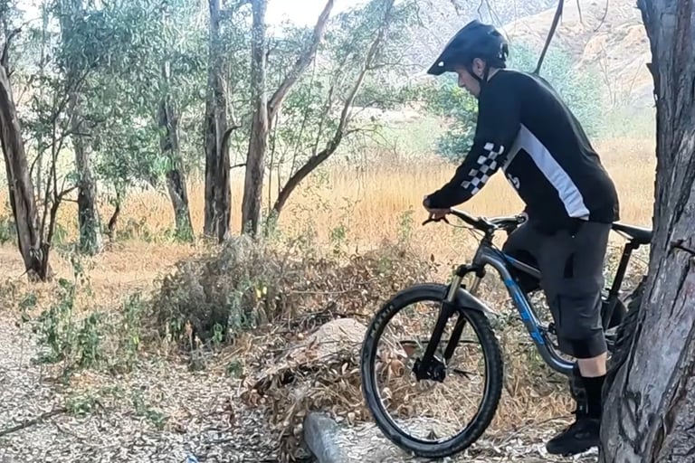 mountain biker approaching small ledge preparing for wheelie drop technique