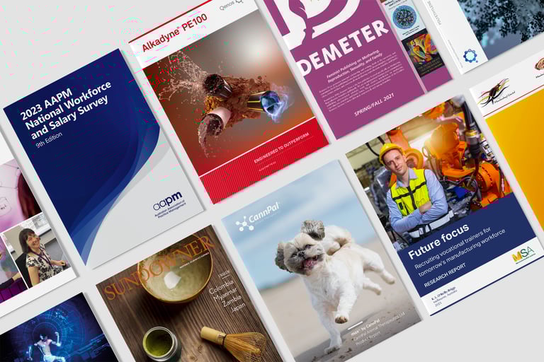 reports, white papers, magazines, typesetting by Michelle Pirovich, Squeezebox