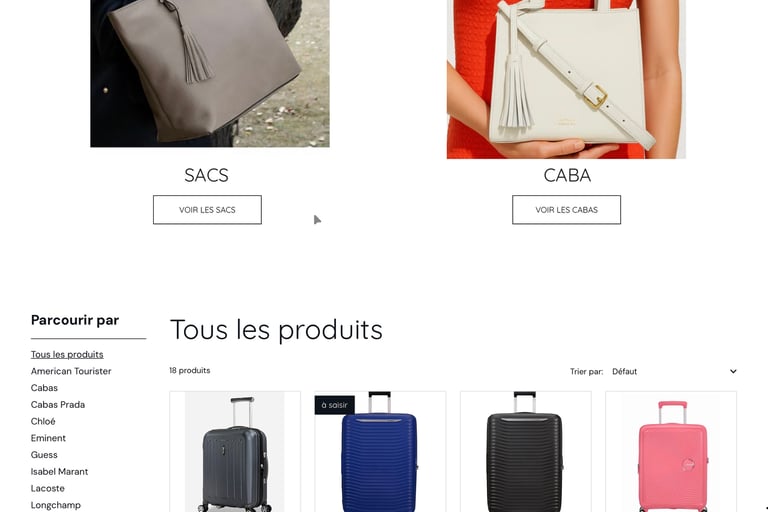 a woman's handbag and a handbag on a website