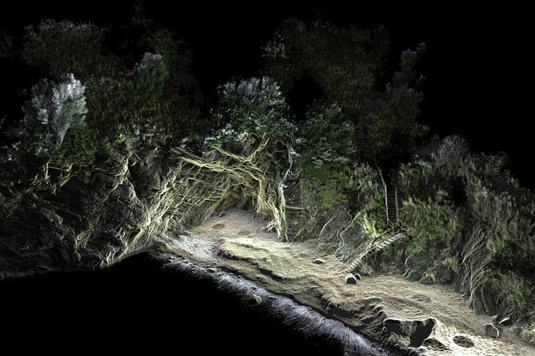 Nuvola di punti acquisita da un rilievo 3D laser scanner di una falesia, evidenziando dettagli della superficie rocciosa