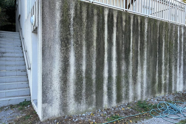 façade qui a besoin d'un nettoyage