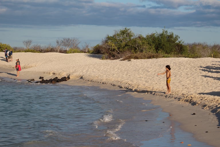 Tailor-made Galapagos journey combining islands and mainland Ecuador