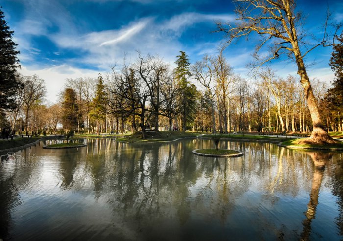Zugdidi Botanical Garden