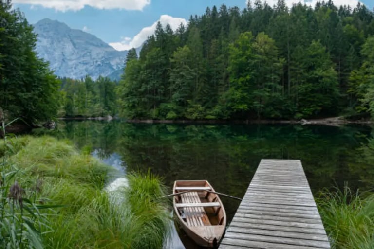 Floating dock on man-made natural lake surrounded by trees—designed to blend seamlessly with nature