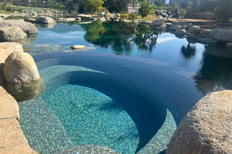 Natural swimming pool with integrated soaking tubs and biological plant filtration in Malibu, CA.