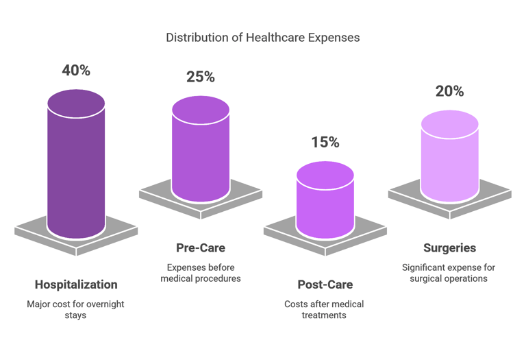 common expenses in healthcare chart representation