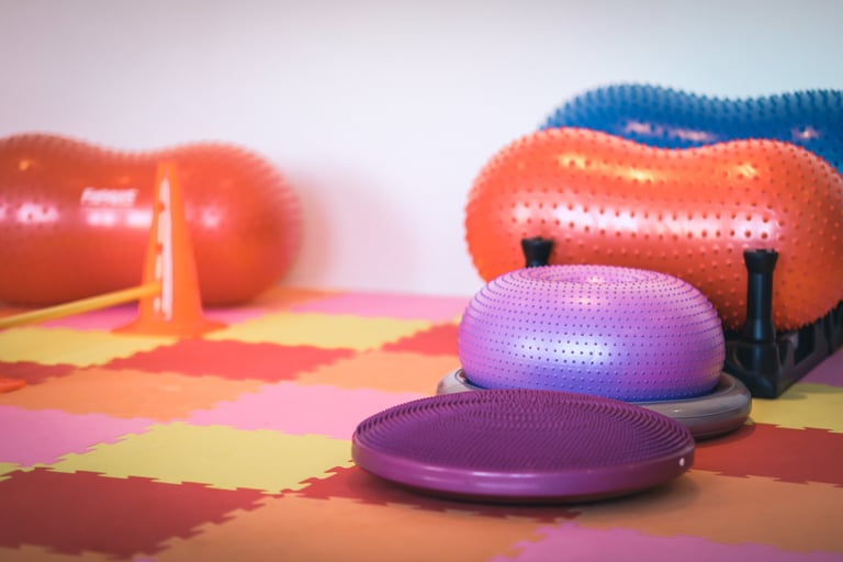 Šunų fitneso ir reabilitacijos įranga - balansiniai diskai ir kamuoliai