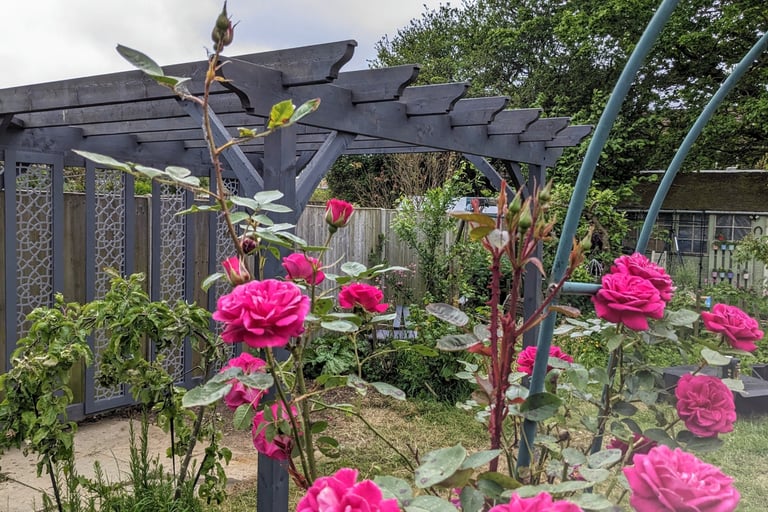 pergola