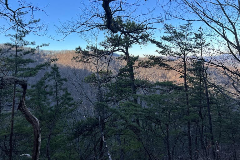 view of mountain from spec mine trail