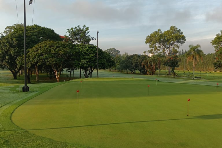plano de manejo florestal