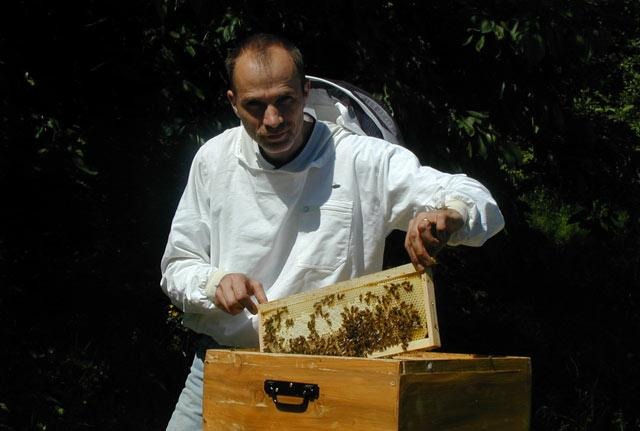 Les aventures de dides, apiculture, rucher, abeilles