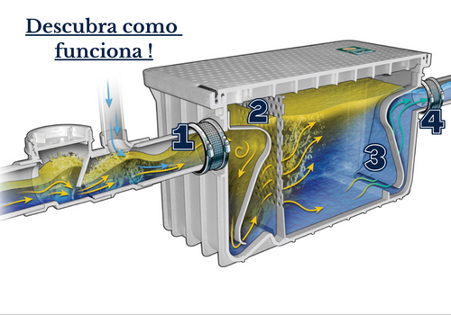 caixa de gordura