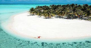 Snorkeling paradise between El Nido and Coron – tropical fish, sea turtles and clear waters