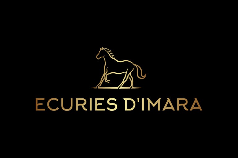 écuries d'Imara reconversion chevaux à vendre