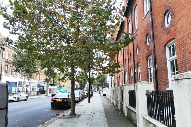 Street view by Institute of psychoanalysis.