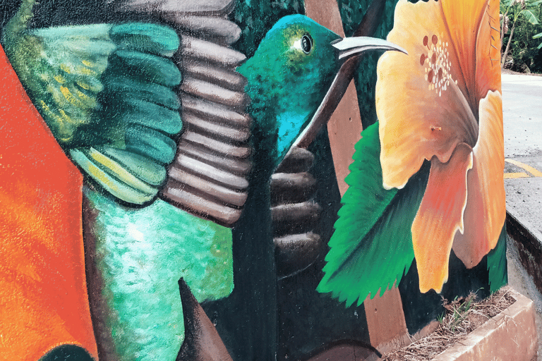a mural of a hummingbird in a mural of a hummingbird