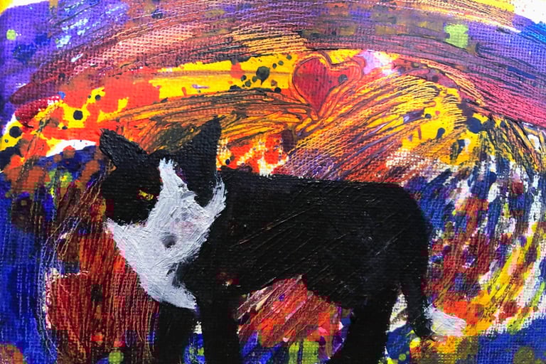 Jake: The Collie with muddy feet. Oil on canvas