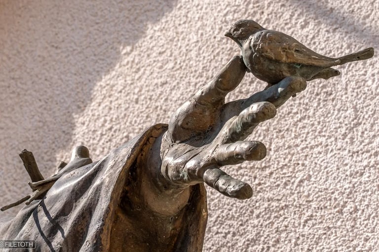 Close-up of Saint Francis’s hand gently holding birds, representing his compassion for all creatures.