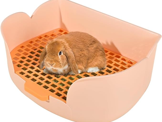 Nice, roomy litter box, perfectly designed for Holland Lop rabbits