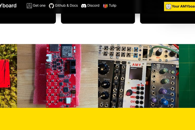 AMYboard