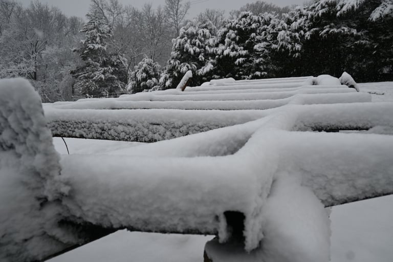 Airstream Trailer frame covered in snow in front of snow covered tree line