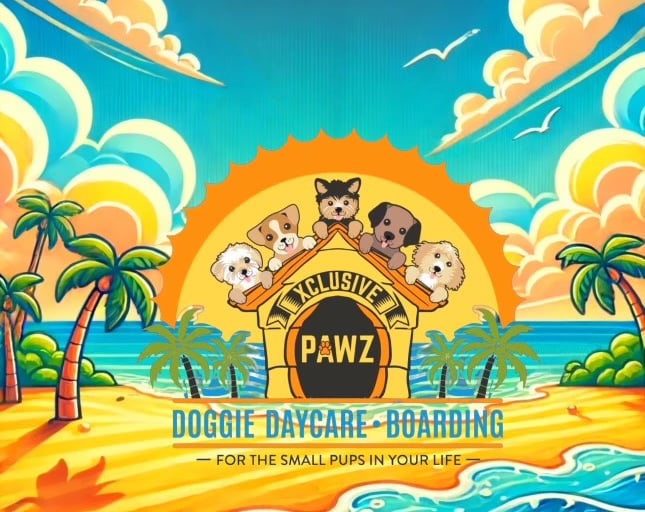 sun beach dogs