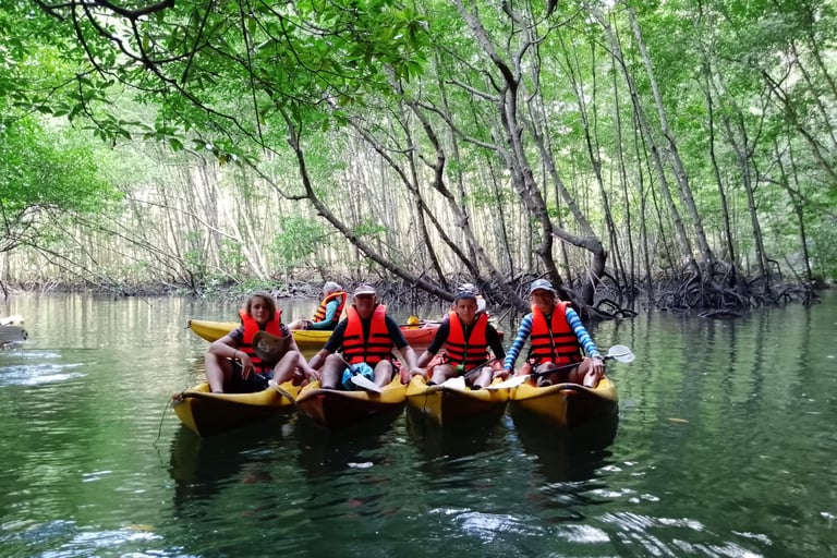 krabi sea kayaking mangrove forest ao thalane