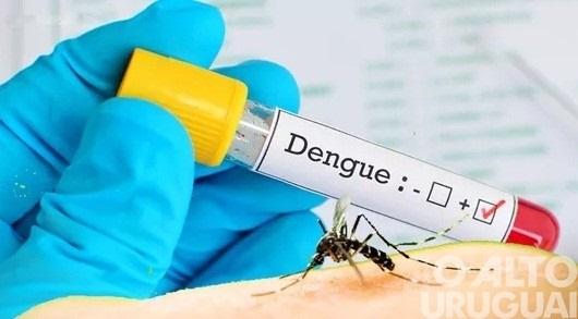 Dengue: Sintomas, Riscos e Prevenção em Uberaba | Uberaba digital