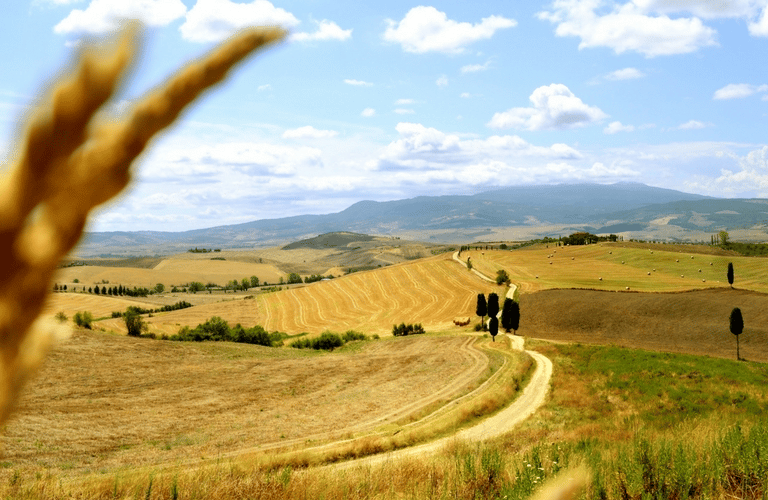 Caminho de Val D’Orcia: de San Quirico a Pienza
