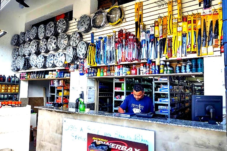 dvm auto peças