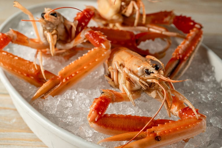 scampi adagiati su ghiaccio