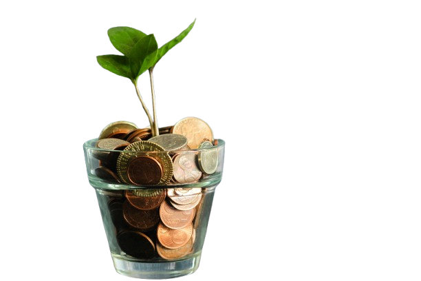 a green sapling growing in a jar of coins