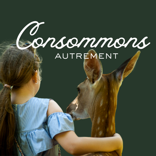 personne de dos entourant un jeune cerf, illustrant la rubrique Consommons autrement