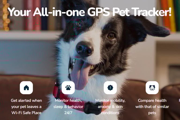 Fit Bark GPS tracker