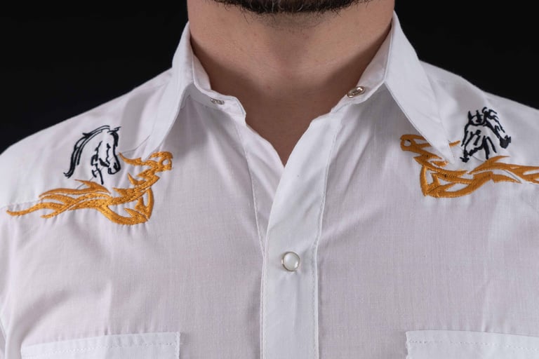 Camisas Vanessa 2020 Medellin