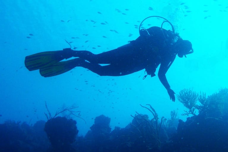 Kate scuba diving in the water on a tropical reef