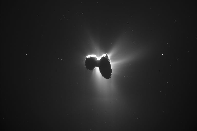 Comet 67P/Churyumov-Gerasimenko as seen from the spacecraft Rosetta.